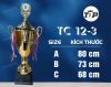 tc-12-3-copy - ảnh nhỏ  1