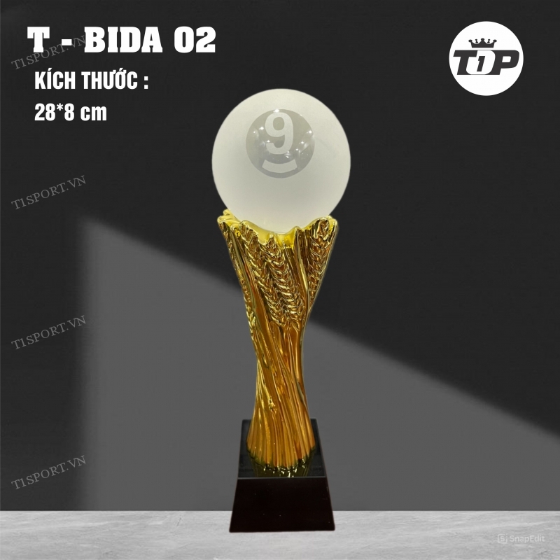 T BIDA 02