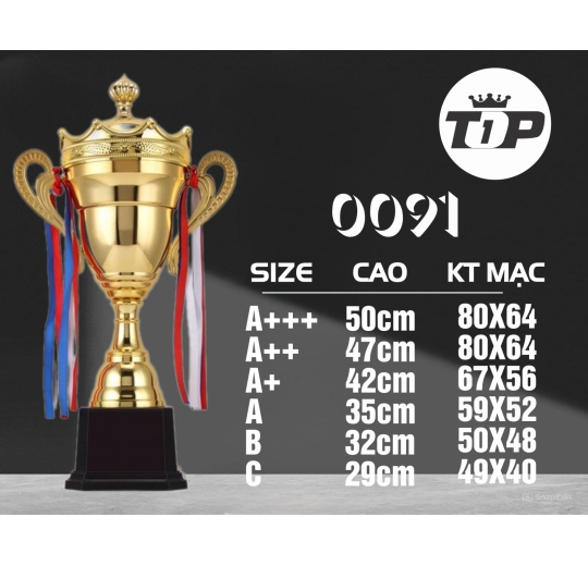 Cúp Thể Thao 0091