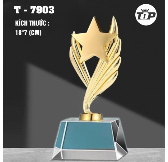 Đỉnh Cao Tỏa Sáng – Peak of Success Trophy - 7903
