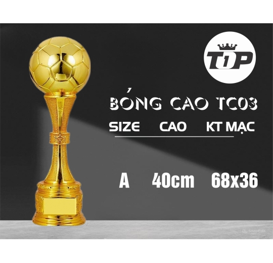 BÓNG CAO TC 03