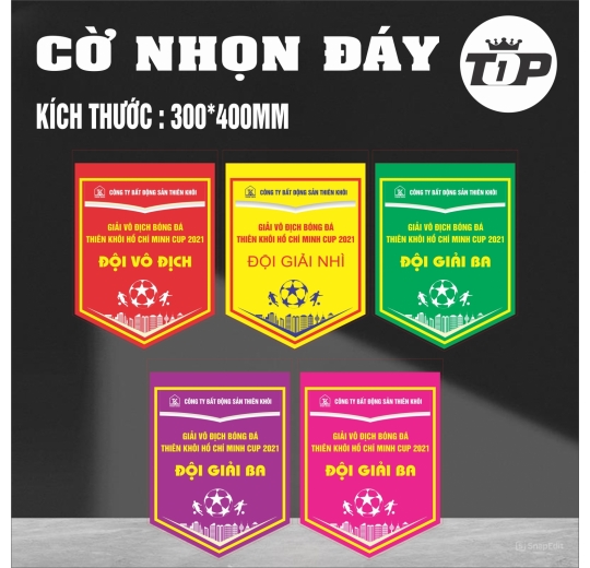 Cờ Lưu Niệm Nhọn Đáy 30*40cm