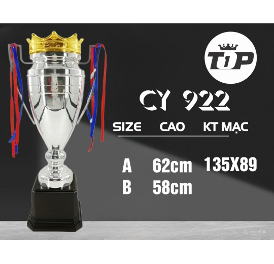 Cúp Thể Thao CY 922