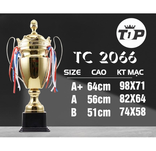 Cúp Thể Thao  TC 2066